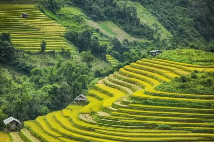 Nguồn: Internet