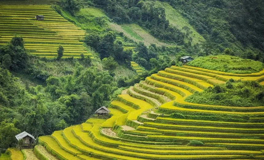Nguồn: Internet