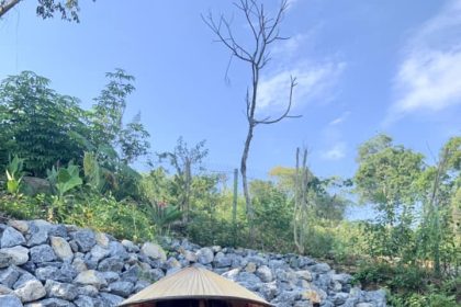 Tác giả/dịch giả Khánh Phương