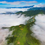 Ảnh minh hoạ. Nguồn: internet