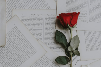 Ảnh minh hoạ Nguồn: Internet