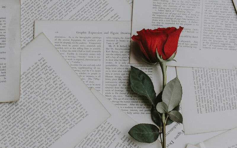 Ảnh minh hoạ Nguồn: Internet